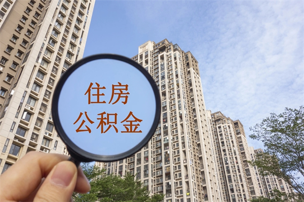 新余个人公积金去哪儿取（住房公积金个人到哪里提取）